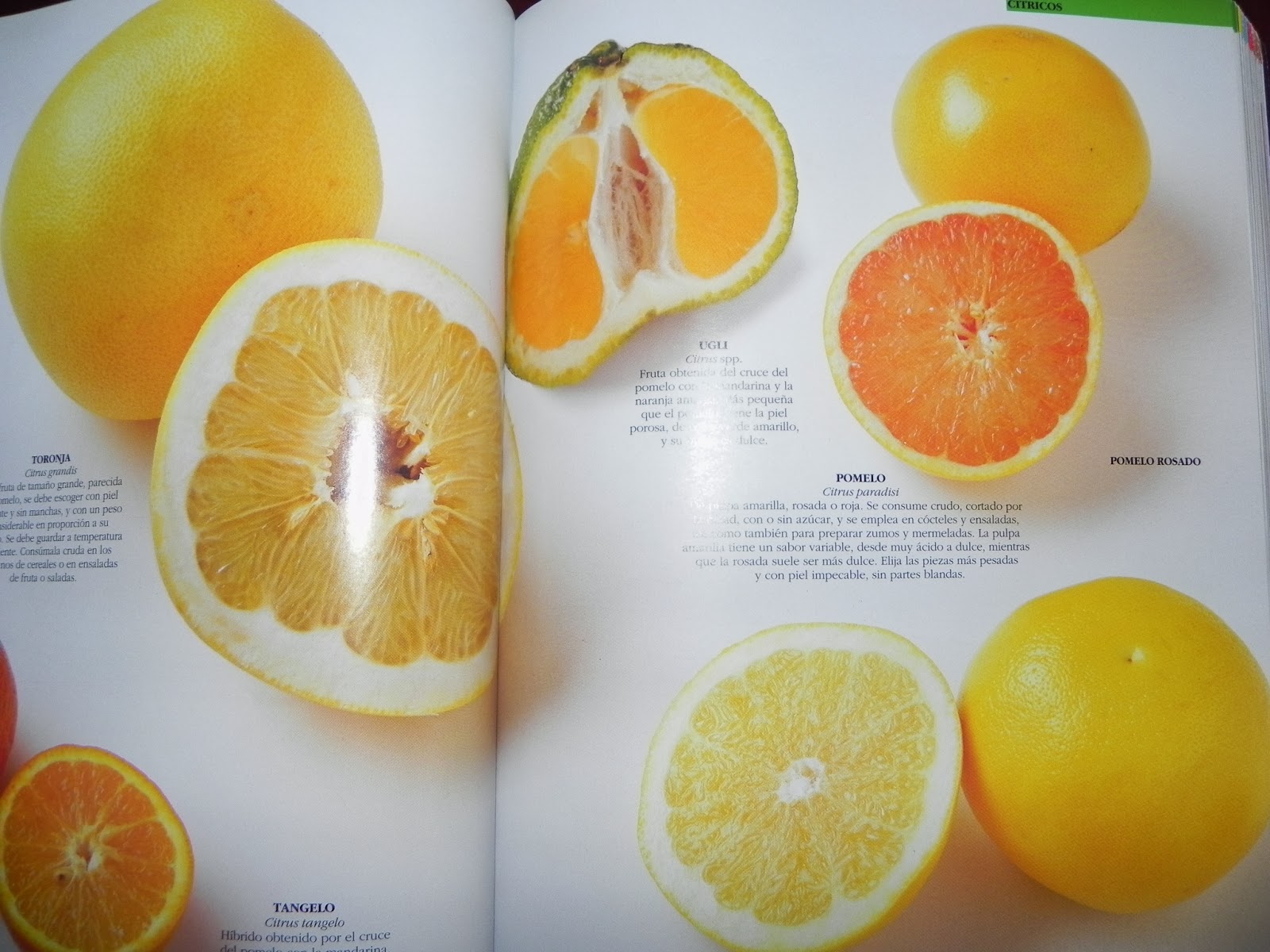 Secretos de cocinólogos ¿Pomelo o toronja?